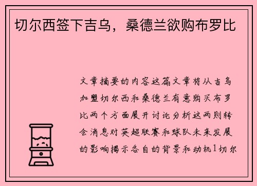 切尔西签下吉乌，桑德兰欲购布罗比